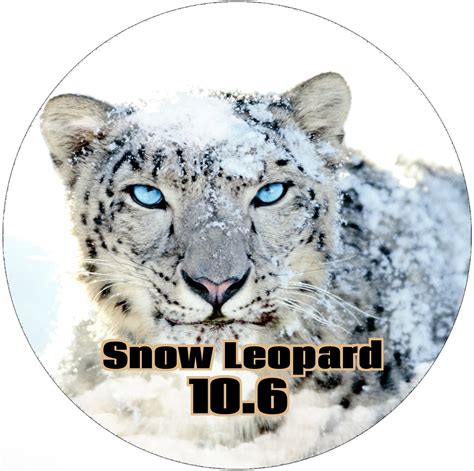 Macos Mac Os X 106 Snow Leopard Bootable Dvd Full Install Upgrade Restore
