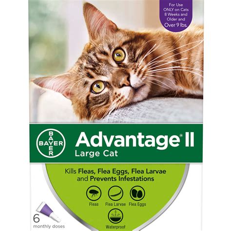 Gastroenteritis is defined as vomiting or diarrhea due to inflammation of the small or large bowel, often due to infection.17 the many of the same agents cause gastroenteritis in cats and dogs as in humans. UPC 724089202321 - Advantage II Once-A-Month Topical Large ...