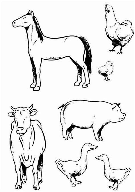 Land Animals Coloring Pages At Free