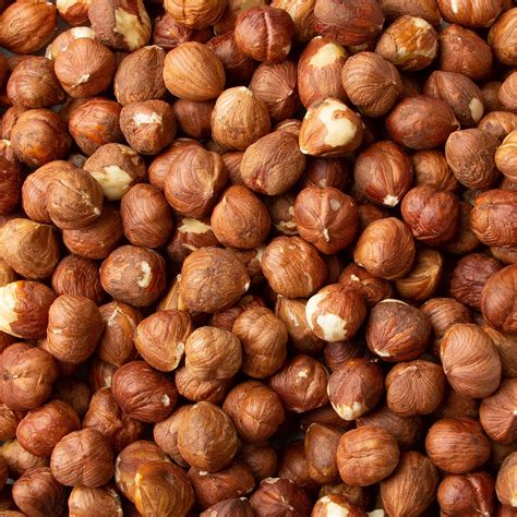 Raw Oregon Hazelnuts Filberts Bulk Hazelnuts Oh Nuts