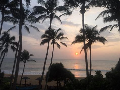 Blue Beach Wadduwa Updated 2023 Hotel Reviews And Price Comparison Panadura Sri Lanka
