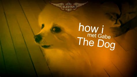 How I Met Gabe The Dog Youtube