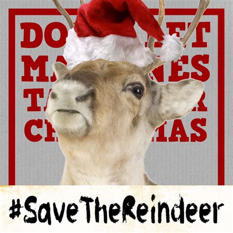 Save The Reindeer The Video