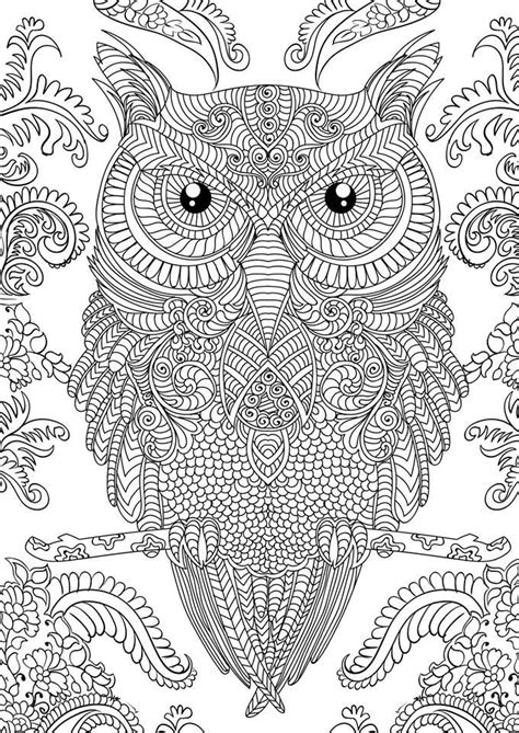 Advanced Adult Owl Coloring Pages Coloring Sheets