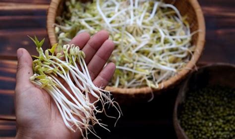 How To Grow Bean Sprouts At Home Uk