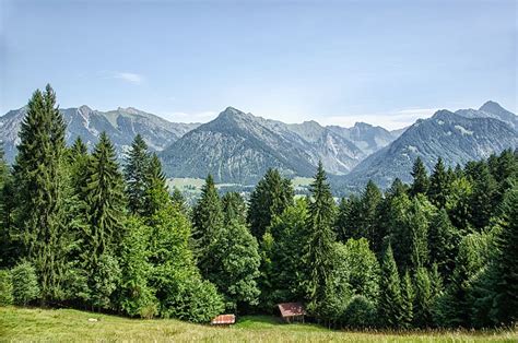 Allgäu Oberstdorf Mountains Forest Trees Bavaria Summer Firs
