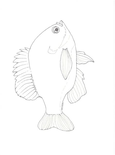 Bluegill Coloring Book Page Etsy