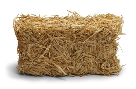 Pick Up Straw Bales At Wells Brotherswells Brothers Pet Lawn And Garden