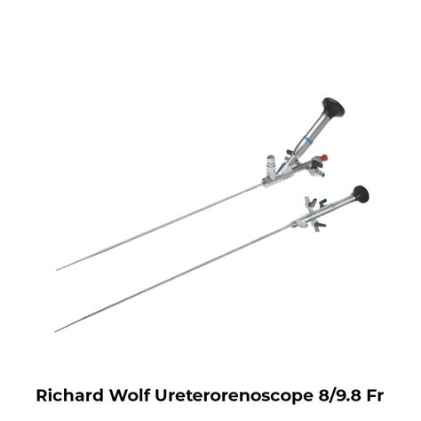 stainless steel richard wolf ureterorenoscope 8 9 8 fr at rs 250000 piece in ahmedabad