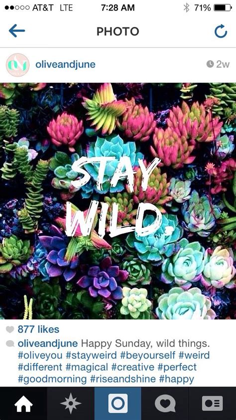 Stay Wild Express Yourself With Polish Stay Wild