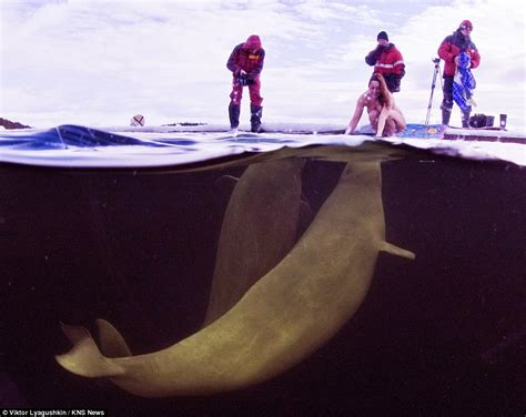 Naked Female Scientist Tries To Tame Beluga Whales In The Arctic Daily Mail Online