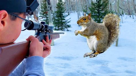 Squirrel Shootnfry Squirrel Hunting With Pellet Guns Youtube