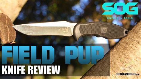 Sog Field Pup Knife Review Osograndeknives Youtube