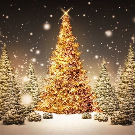 Free Wallpapers For Apple Ipad Beautifully Decorated Christmas Tree In