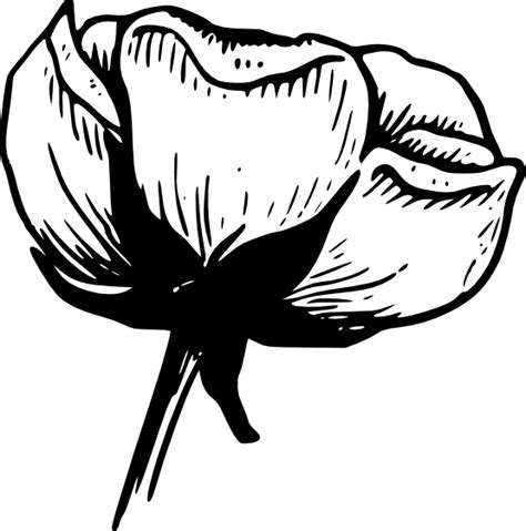Bunga retro hitam putih menggambar sketsa vektor bunga vektor gratis. Bunga Mawar Hitam Putih - ClipArt Best