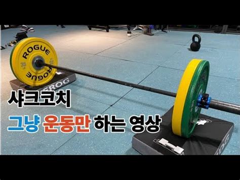Sxyz vlogz 1 year ago download. #25 그냥 운동만 하는 영상 샤크코치 - YouTube