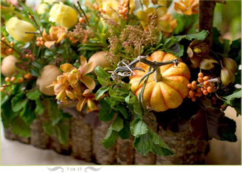 Blooming cactus flowers in the spring. Florali - Fine Flowers - Florist - Walnut Creek, Lafayette ...