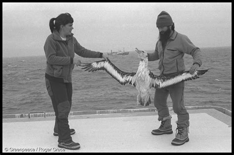 A History Of Greenpeace S Antarctic Campaign In Aotearoa From 1990 To