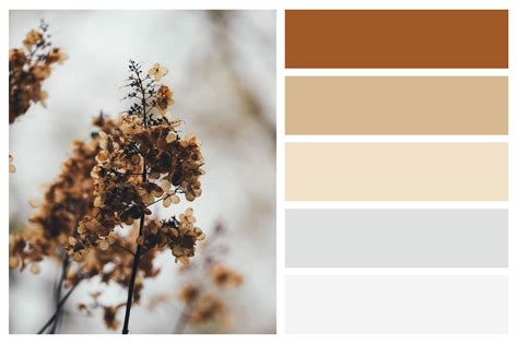 Fall Color Palettes For Interior Home Painting Central Sound Painting