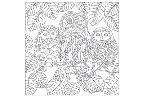 Ein bauvertrag ist ein typ privatrechtlicher verträge über den gegenseitigen austausch von leistungen, bei dem sich ein teil (auftragnehmer) verpflichtet, ein werk gegen zahlung einer vergütung (werklohn) durch den anderen vertragsteil (besteller) herzustellen. Ausmalbilder Muster Tiere | Muster malvorlagen, Ausmalbilder, Ausmalen