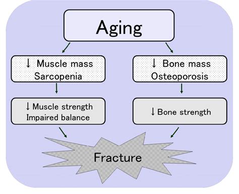 Sarcopenia is clinically defined as a progressive and generalized musculoskeletal disease associated with increased likelihood of adverse health . Relationship between sarcopenia, osteoporosis and fracture ...