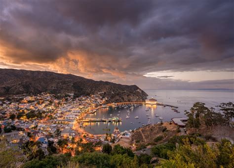 Top 10 Things To Do In Catalina Island Select Registry