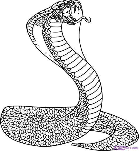 We did not find results for: Spitting Cobra Coloring Pages at GetColorings.com | Free ...