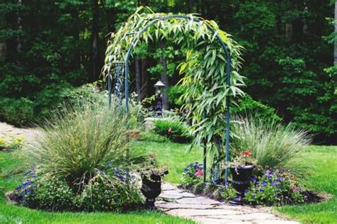 8 Diy Garden Arch Plans To Frame Your Beautiful Garden