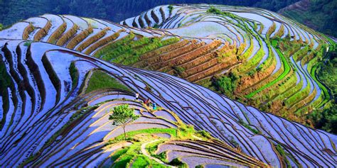Longsheng Longji Rice Terraces