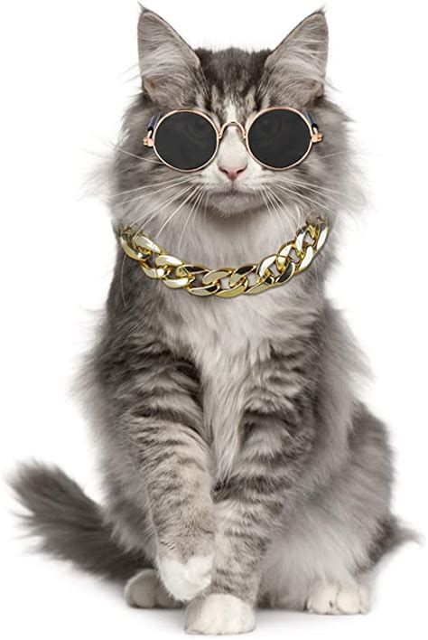 Legendog Glasses For Cats 2pcs Cat Glasses Cat Gold Chain And Cat