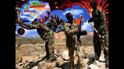 Eritrean Independence Day Youtube