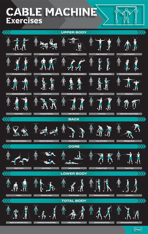 Cable Machine Workout Poster Gym Workout Chart Gym Muscle Workout