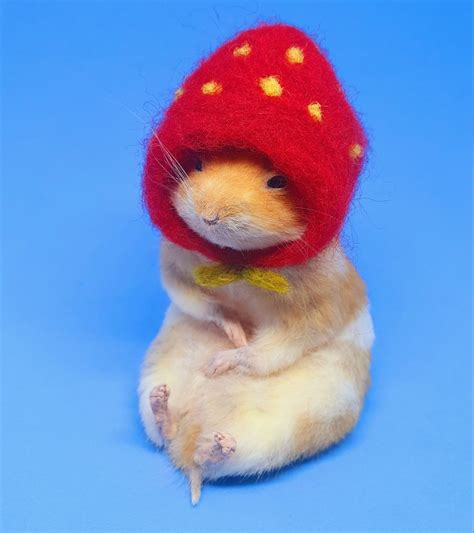 Hamster In Strawberry Hat Hamster Cute Hats Drawing Inspiration