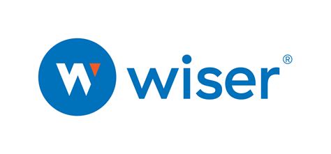 Design Guideline Logo Best Practices Wiser Solutions