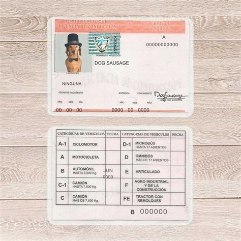 Cuba Driver License Template Driver License Template