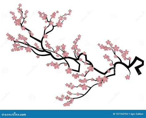Sakura Tree Drawings Blossom Cherry Drawing Draw Sakura Handshears