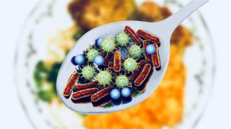 The presence of unwanted materials such as dust and particles during the manufacturing and transportation time is called contamination. Stomach Flu Vs Food Poisoning: Ways to Tell the Difference ...