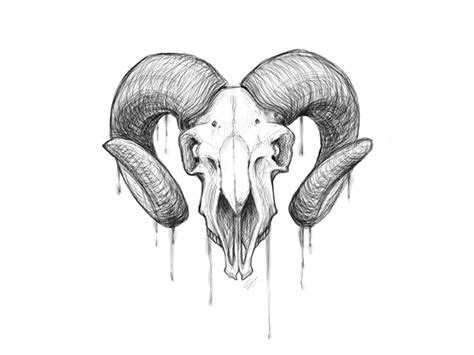 Goat Skull Study Goat Skull Skull Tattoos Tattoo Design Drawings