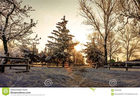 Winter Moring Stock Photo Image Of Frost Travel