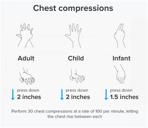 How To Perform Cpr Guidelines Procedure And Ratio