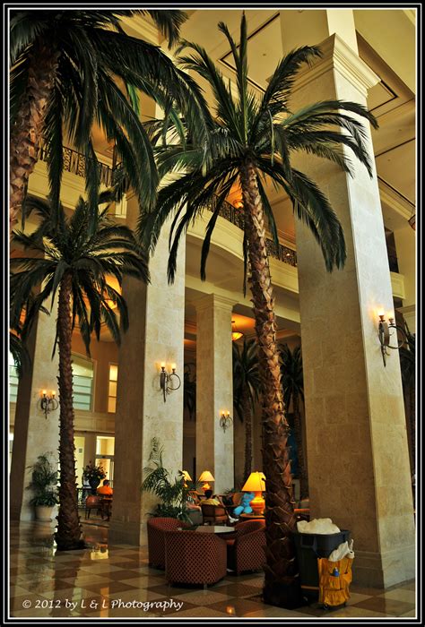 Florida Fotos Lobby Tampas Marriott Waterside Hotel