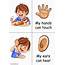 Five Senses Activity For Preschool Students  TeachersMagcom