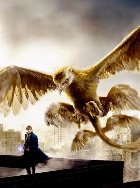 Fantastic Beasts And Where To Find Them 2016 Fantastic Beasts