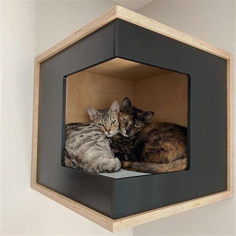 Wally Cornerbox Cat Shelf Cat Box Wall Mounted Cat Bed Wood Cat