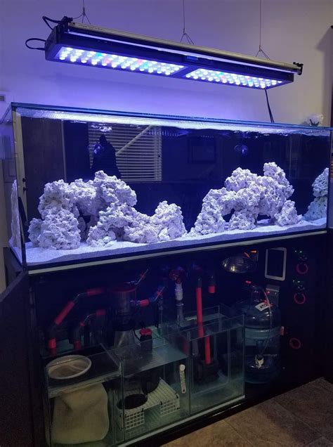 75 Gallon Reef Tank Aquascape Ideas Show Off Your Large Tank