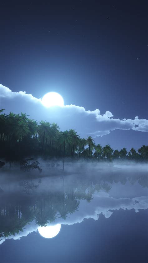 1080x1920 1080x1920 Night Nature Reflection Hd Moon Artist
