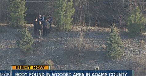 Woman S Body Found Near Golf Course