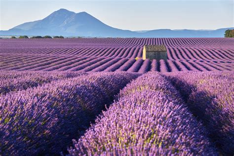 De 10 Mooiste Bezienswaardigheden In De Alpes De Haute Provence Zininfrankrijknl