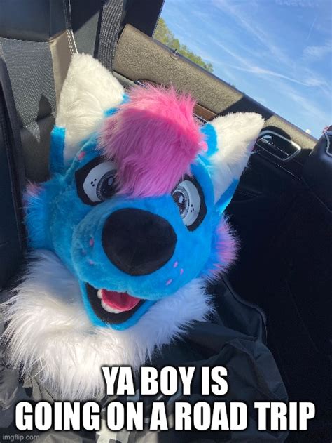 Image Tagged In Furrymemesfursuit Imgflip