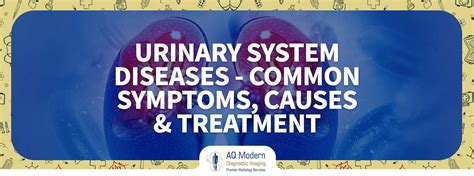 Urinary System Diseases Symptoms Causes Treatment